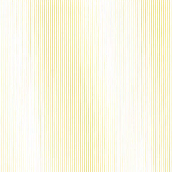 #whiteivorystripe