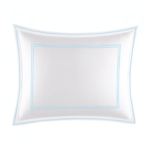 #LightBlueborder