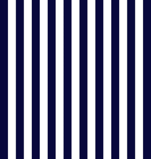#navyblueborder