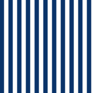 #navyblueborder