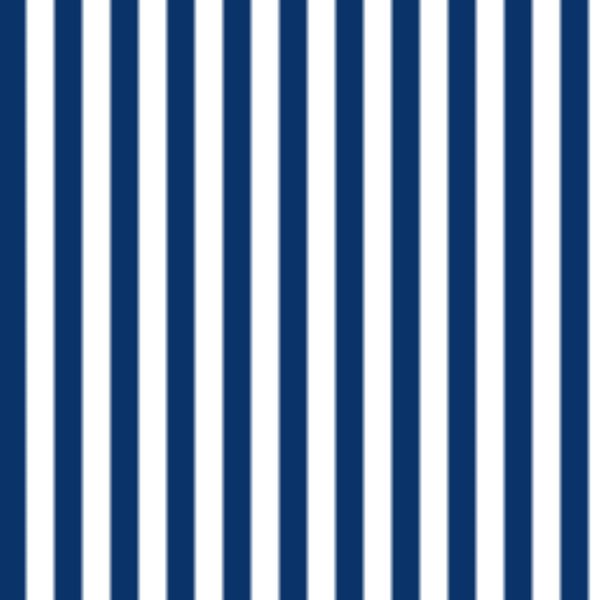 #navyblueborder