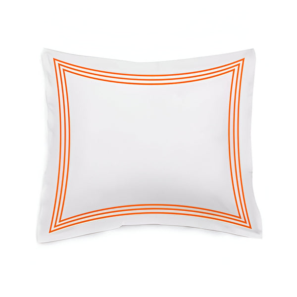 #Orangeborder