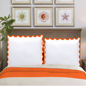 #Orangeborder