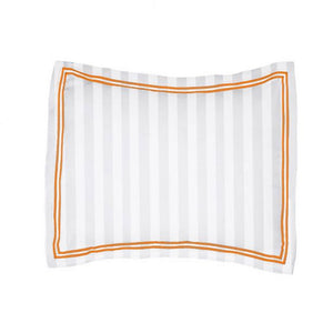 #Orangeborder