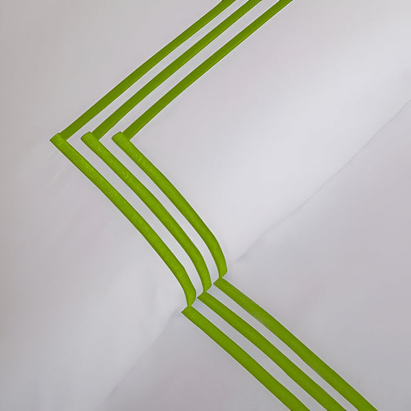 #ParrotGreenborder