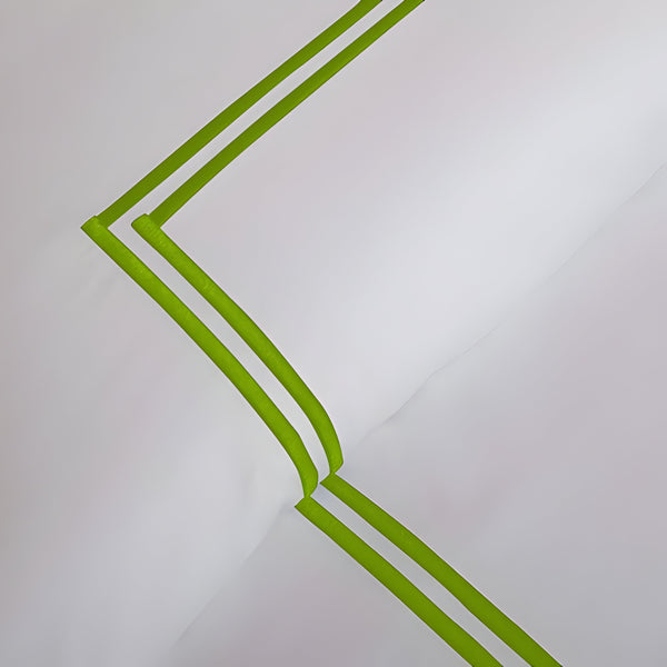 #ParrotGreenborder