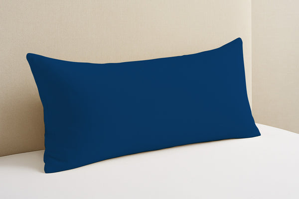 #royalblue