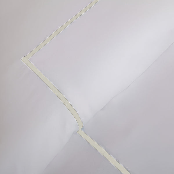 #Ivoryborder