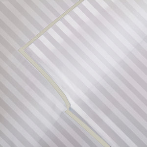 #Ivoryborder