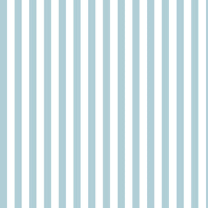 #whitelightbluestripe