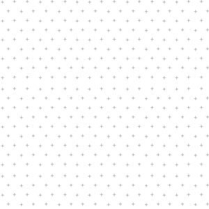 #lightgreyborder
