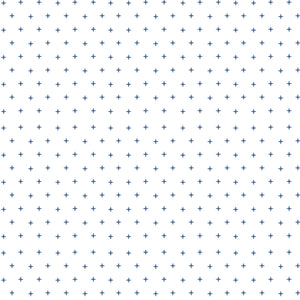 #navyblueborder