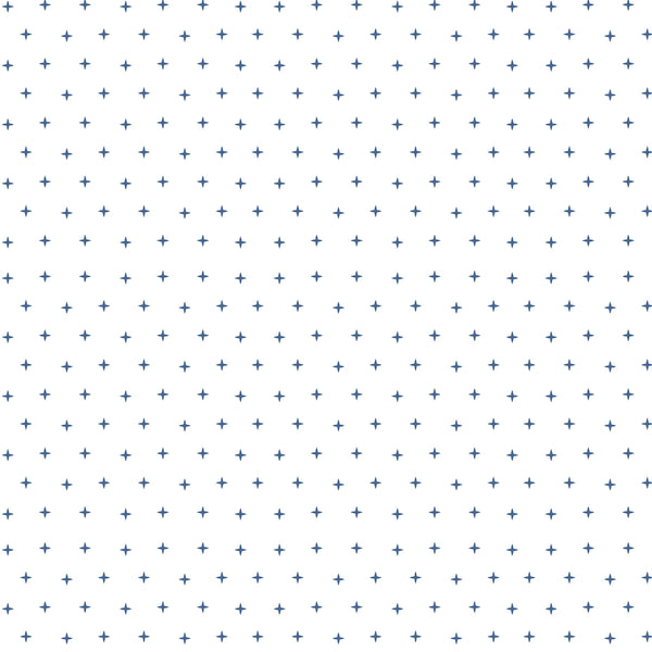 #navyblueborder