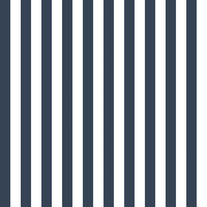 #navyblueborder