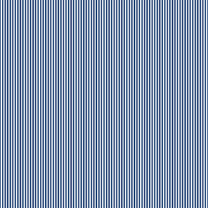 #navyblueborder