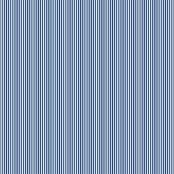 #navyblueborder