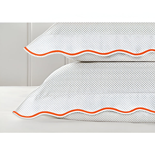 #Orangeborder