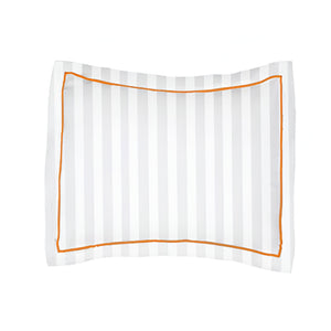 #Orangeborder
