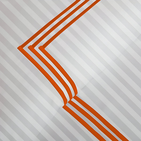 #Orangeborder