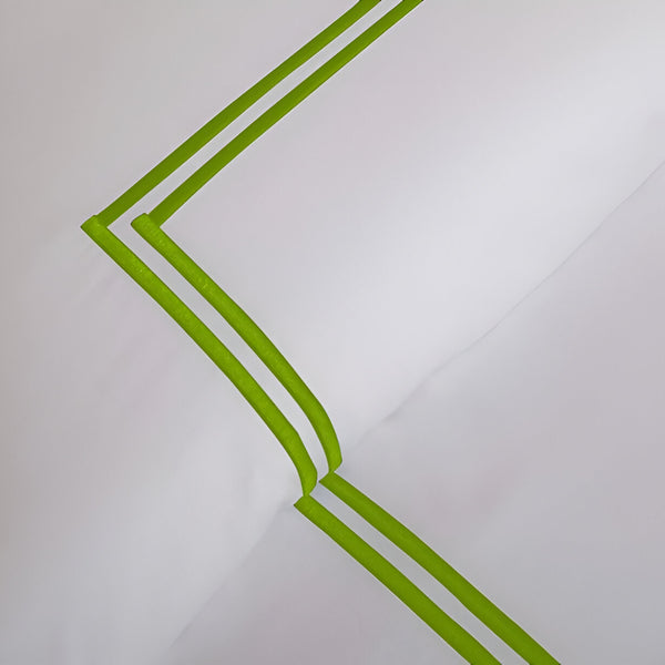 #ParrotGreenborder