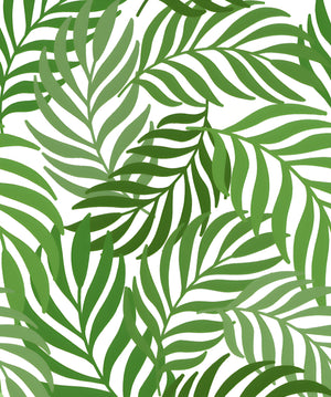 #tropical